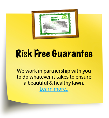 lawn care company near you, weed control near you, get a healthy lawn, Risk Free Guarantee - We work in partnership with you to do whatever it takes to ensure a beautiful & healthy lawn.
